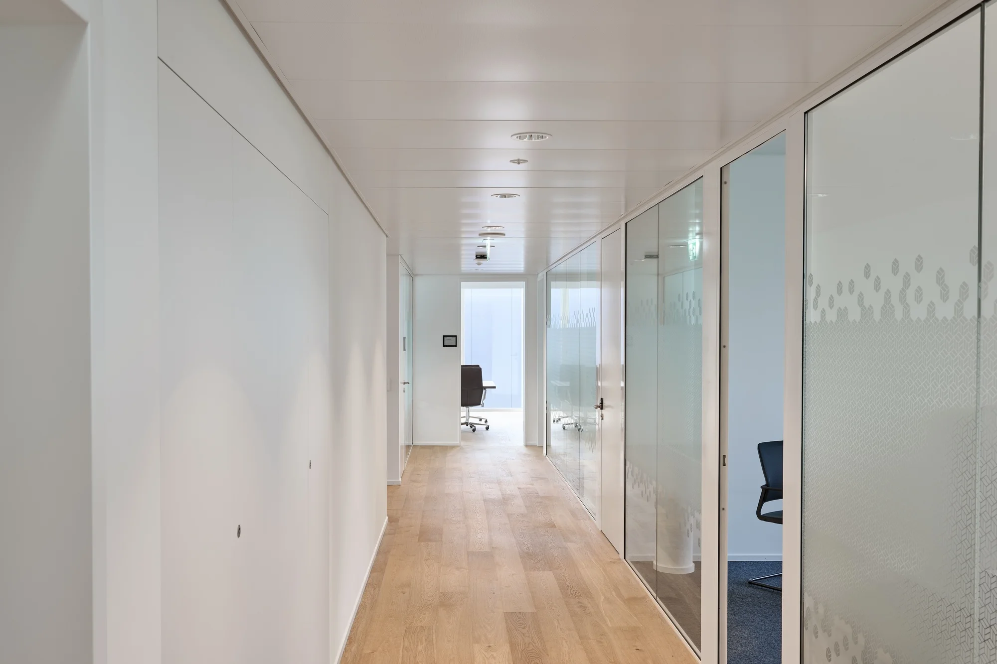 Divisórias interiores envidraçadas com perfis finos Forster Presto XS no Forster Campus.